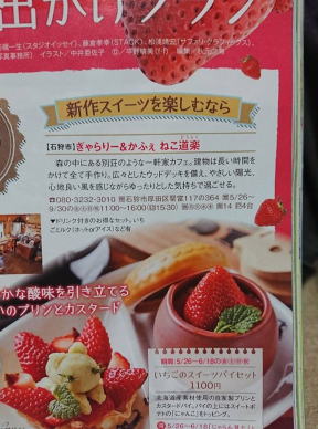 食材イメージ